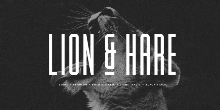 Lion and Hare font preview