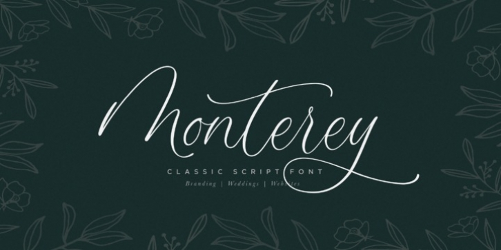 Monterey Script font preview