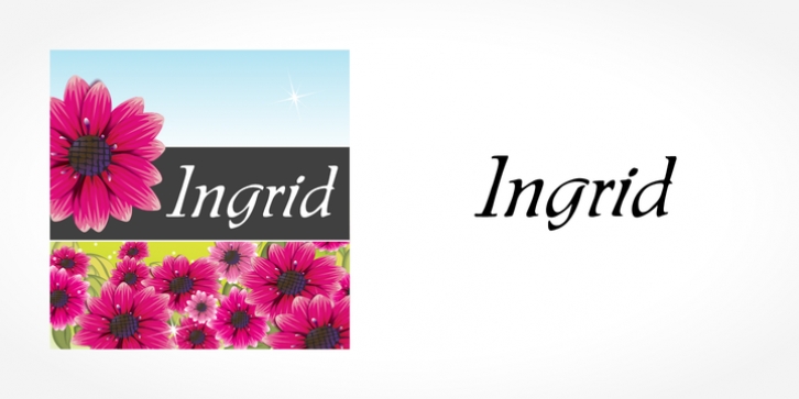 Ingrid font preview
