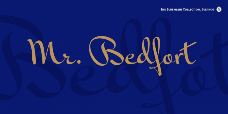 Mr Bedfort Pro font preview