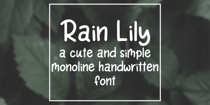 Rain Lily font preview