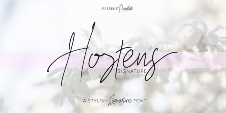 Hostens signature font preview