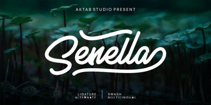 Senella Script font preview