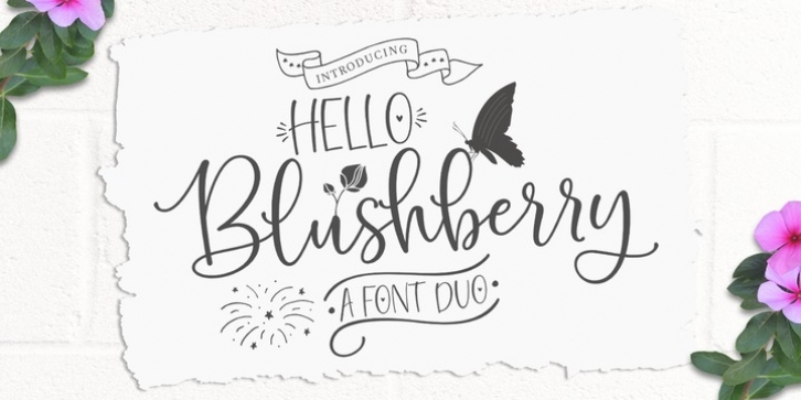 Hello Blushberry Script font preview