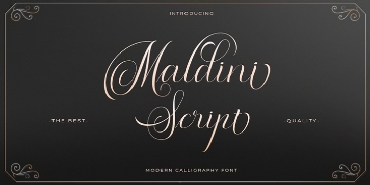 Maldini Script font preview