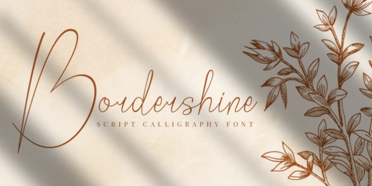 Bordershine Script font preview