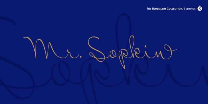 Mr Sopkin Pro font preview
