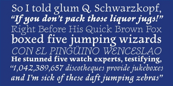 Newt Serif font preview