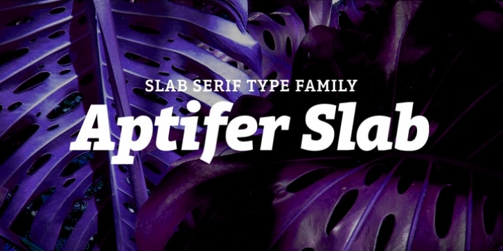 Aptifer Slab font preview