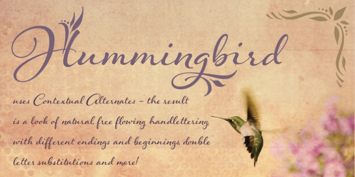 Hummingbird font preview