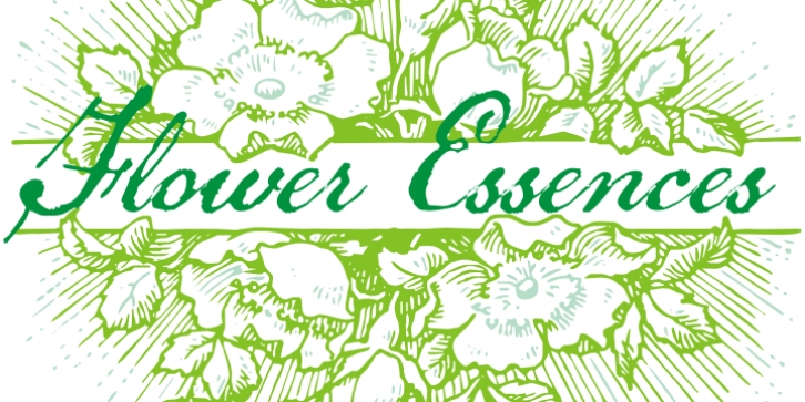 Flower Essences font preview