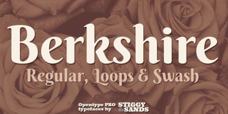 Berkshire swash font