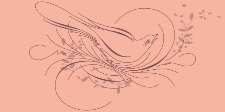 Calligraphic Birds font preview
