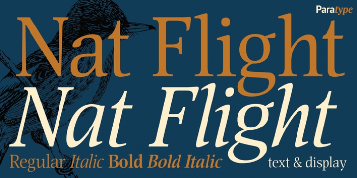 Nat Flight font preview