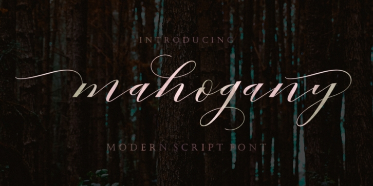 Mahogany Script font preview