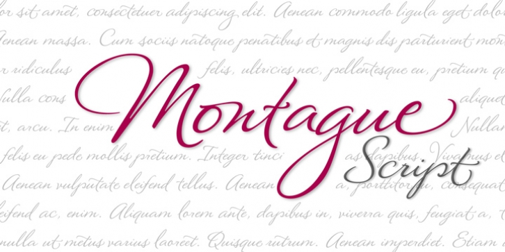 Montague Script font preview