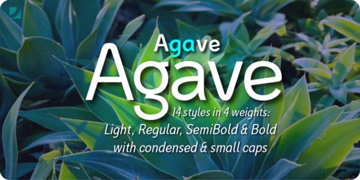Agave font preview