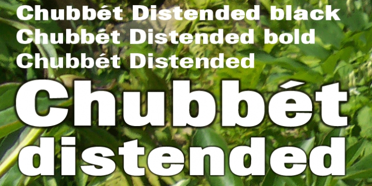 Chubbet Distended font preview