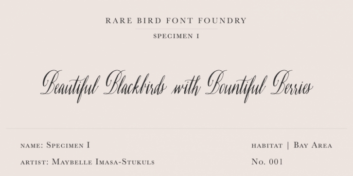 Rare Bird Specimen I font preview