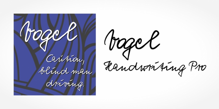 Vogel Handwriting Pro font preview