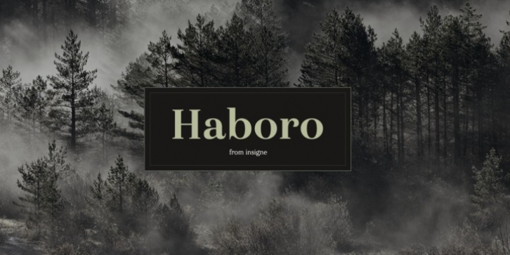 Haboro font preview