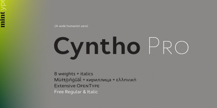 Cyntho Pro font preview