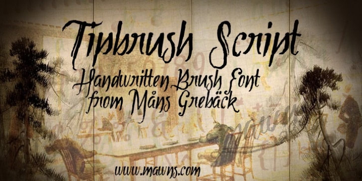 Tipbrush Script font preview