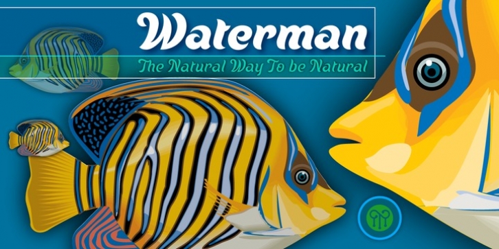 Waterman font preview