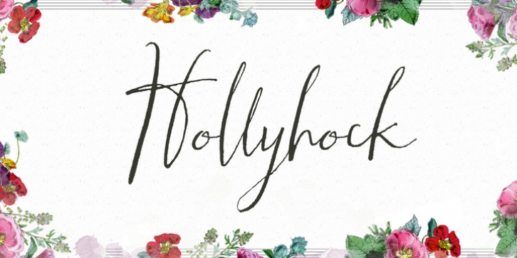 Hollyhock font preview
