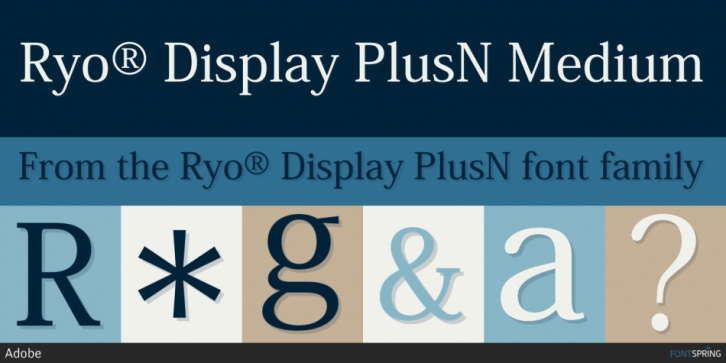 Ryo Display PlusN font preview