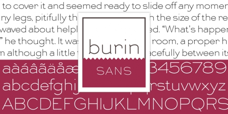 Burin Sans font preview