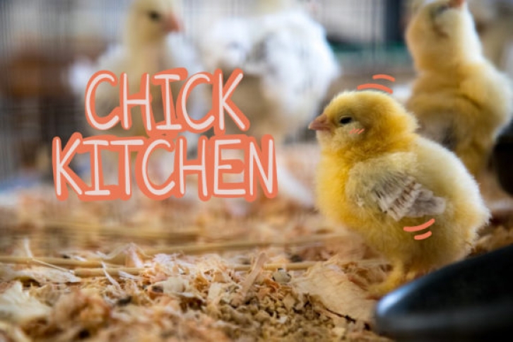 Chick Kitchen font preview