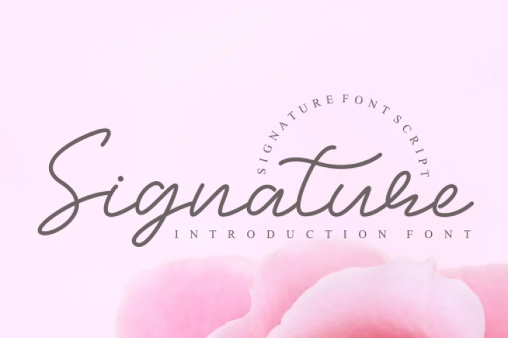 Signature font preview