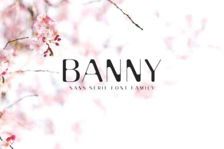 Banny Sans Serif Family font preview