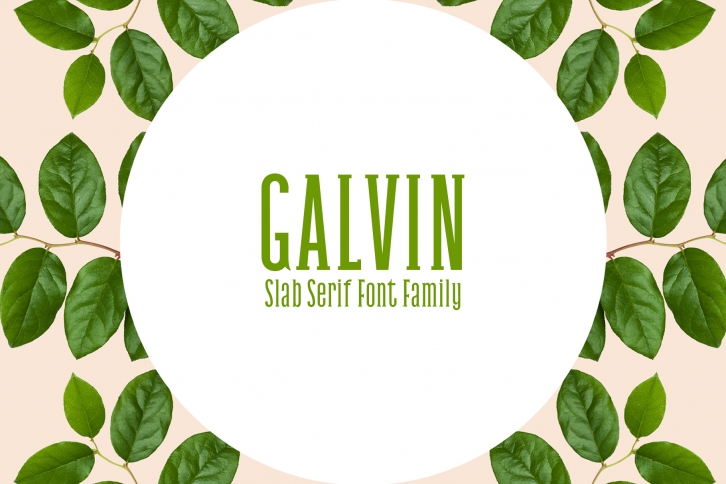 Galvin Family Pack font preview