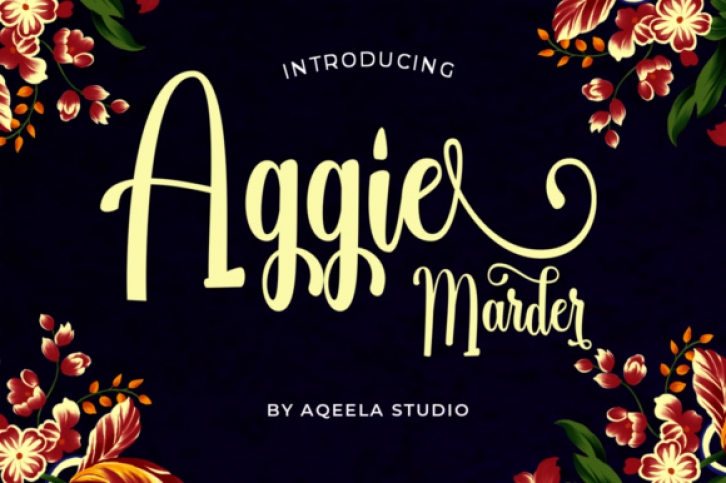 Aggie Marder Script font preview