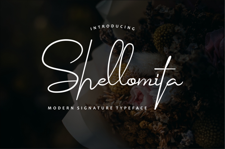 Shellomita font preview