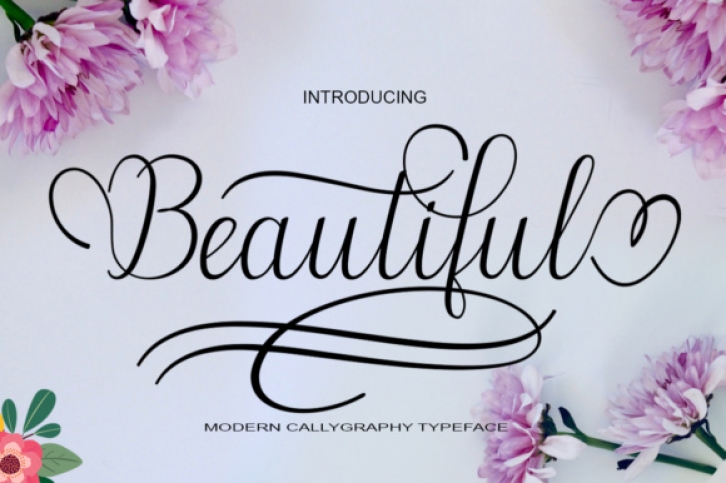 Beautiful font preview