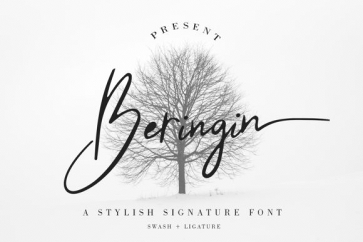 Beringin font preview