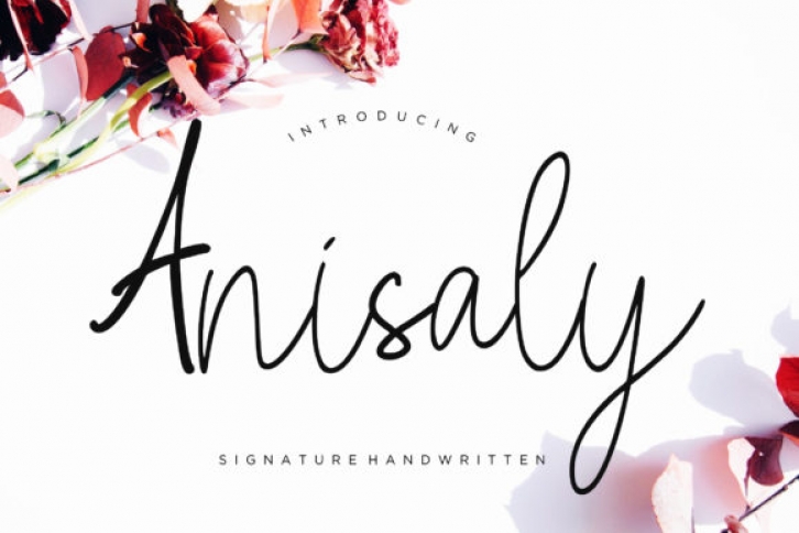 Anisaly font preview
