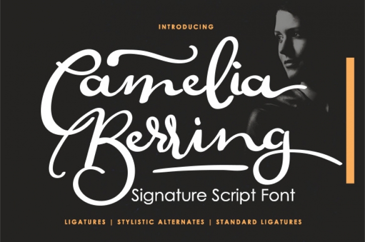 Camelia Berring Script font preview