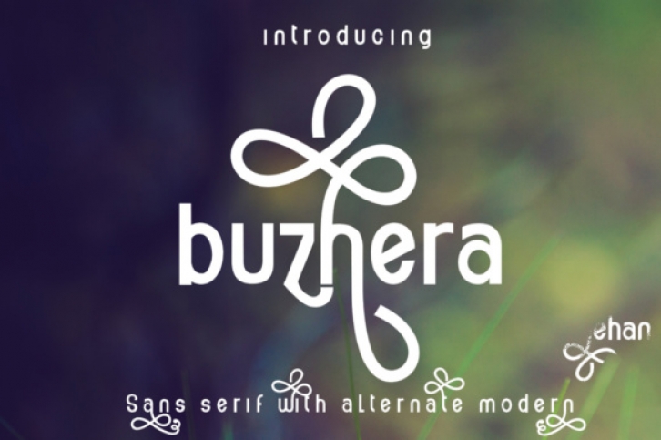 Buzhera font preview
