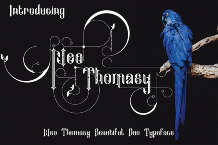 Neo Thomasy font preview