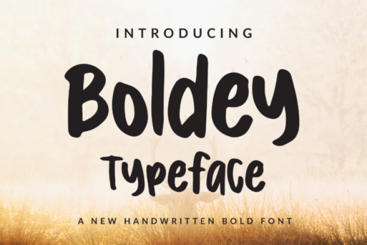 Boldey font preview