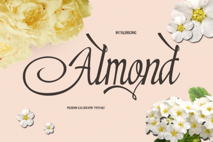 Almond font preview