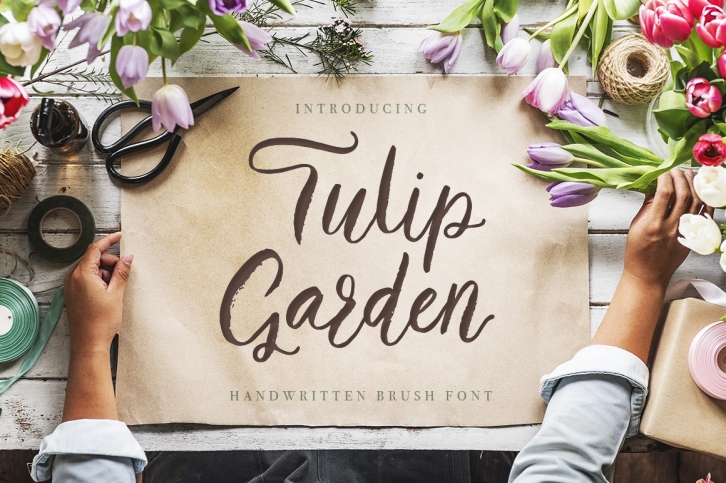 Tulip Garden Script font preview