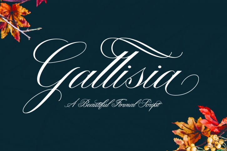 Gallisia font preview