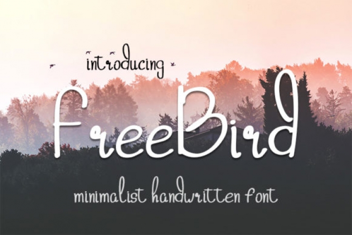 Freebird font preview