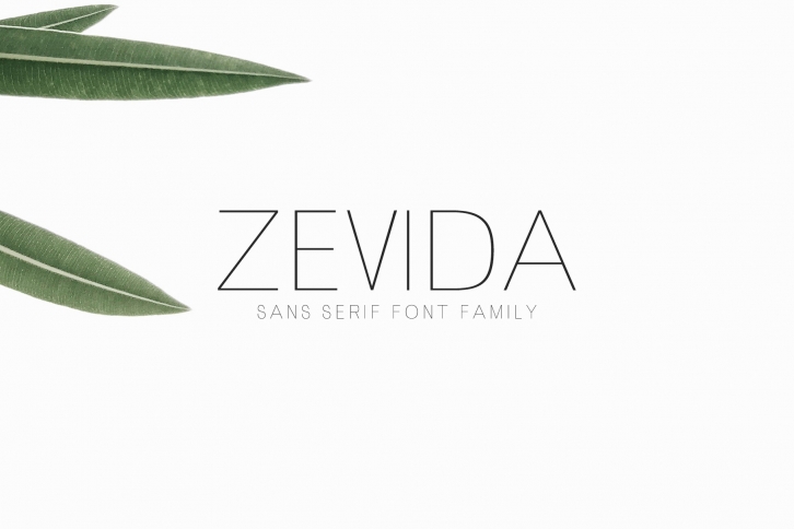 Zevida font preview