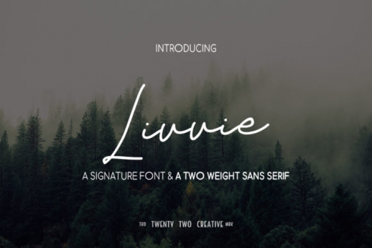 Livvie Duo font preview